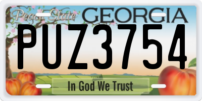 GA license plate PUZ3754