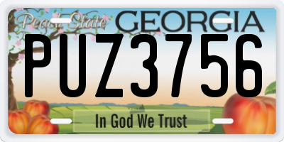 GA license plate PUZ3756