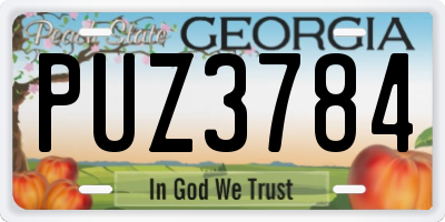 GA license plate PUZ3784