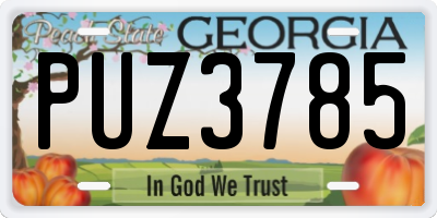 GA license plate PUZ3785