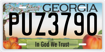 GA license plate PUZ3790