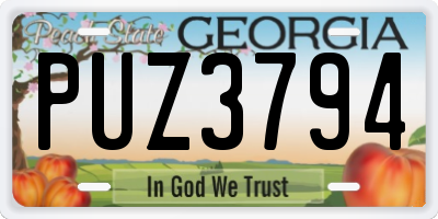 GA license plate PUZ3794