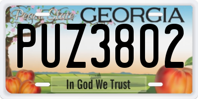 GA license plate PUZ3802