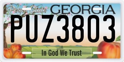 GA license plate PUZ3803