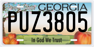 GA license plate PUZ3805