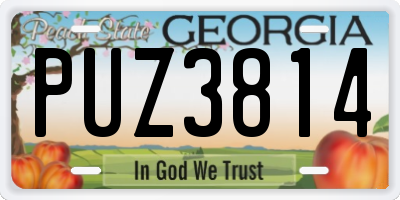 GA license plate PUZ3814
