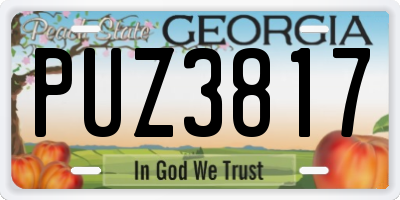 GA license plate PUZ3817