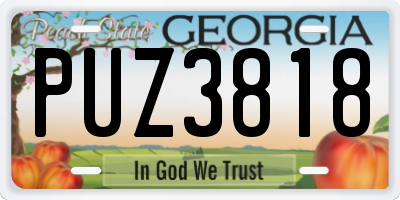 GA license plate PUZ3818