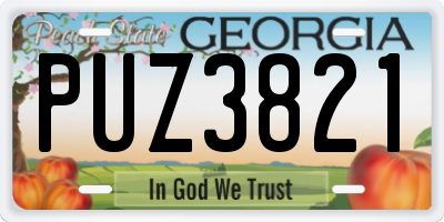 GA license plate PUZ3821
