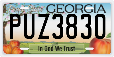 GA license plate PUZ3830