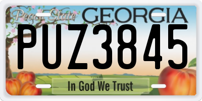 GA license plate PUZ3845