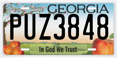 GA license plate PUZ3848
