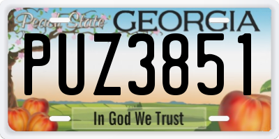 GA license plate PUZ3851