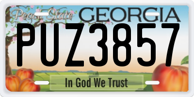 GA license plate PUZ3857