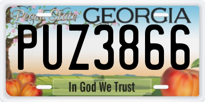 GA license plate PUZ3866