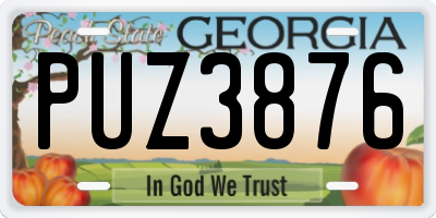 GA license plate PUZ3876