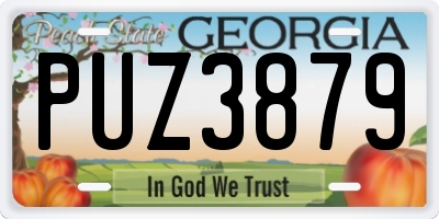 GA license plate PUZ3879