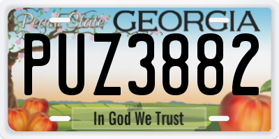 GA license plate PUZ3882