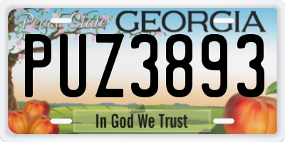 GA license plate PUZ3893
