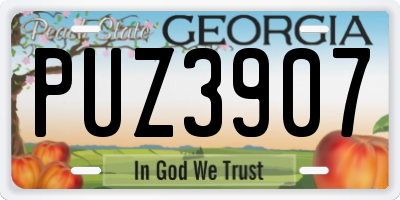 GA license plate PUZ3907
