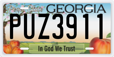 GA license plate PUZ3911