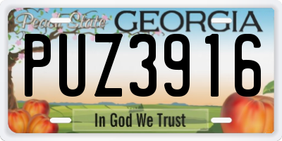 GA license plate PUZ3916