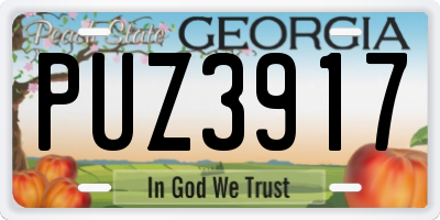 GA license plate PUZ3917