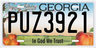 GA license plate PUZ3921