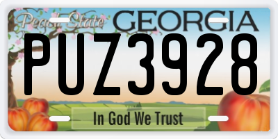 GA license plate PUZ3928