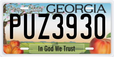 GA license plate PUZ3930