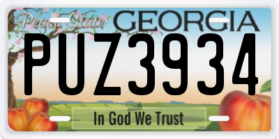 GA license plate PUZ3934