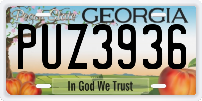 GA license plate PUZ3936