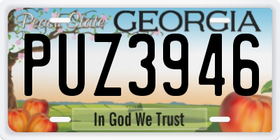 GA license plate PUZ3946