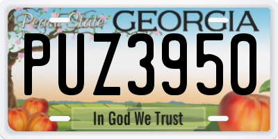 GA license plate PUZ3950