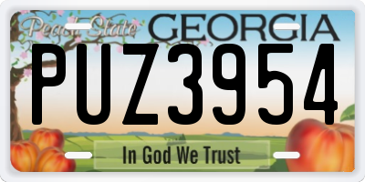 GA license plate PUZ3954
