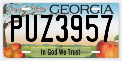 GA license plate PUZ3957