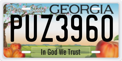GA license plate PUZ3960