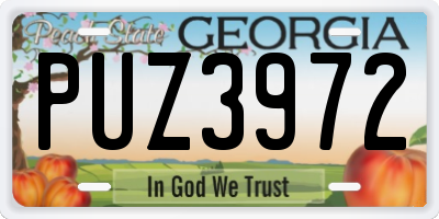 GA license plate PUZ3972