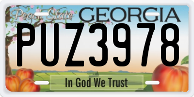 GA license plate PUZ3978