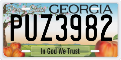 GA license plate PUZ3982