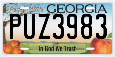 GA license plate PUZ3983