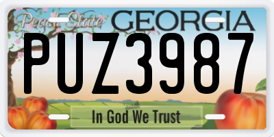 GA license plate PUZ3987