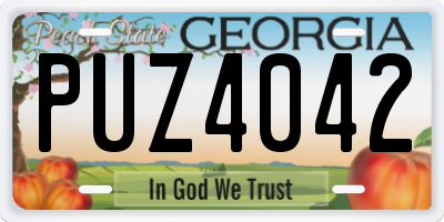 GA license plate PUZ4042