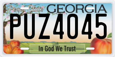 GA license plate PUZ4045