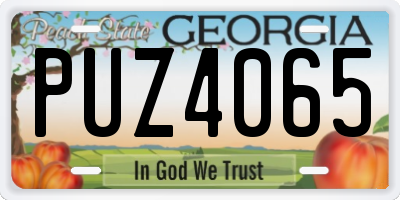GA license plate PUZ4065