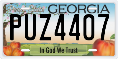 GA license plate PUZ4407