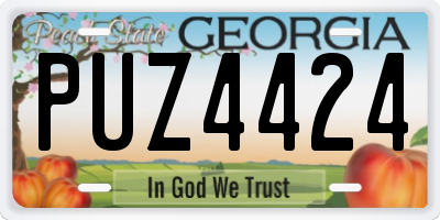 GA license plate PUZ4424
