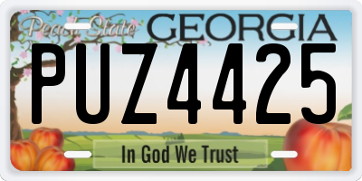 GA license plate PUZ4425