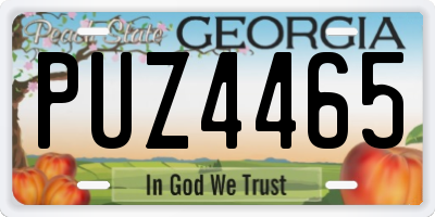 GA license plate PUZ4465