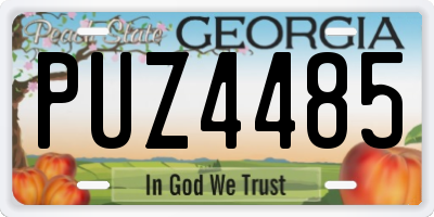 GA license plate PUZ4485